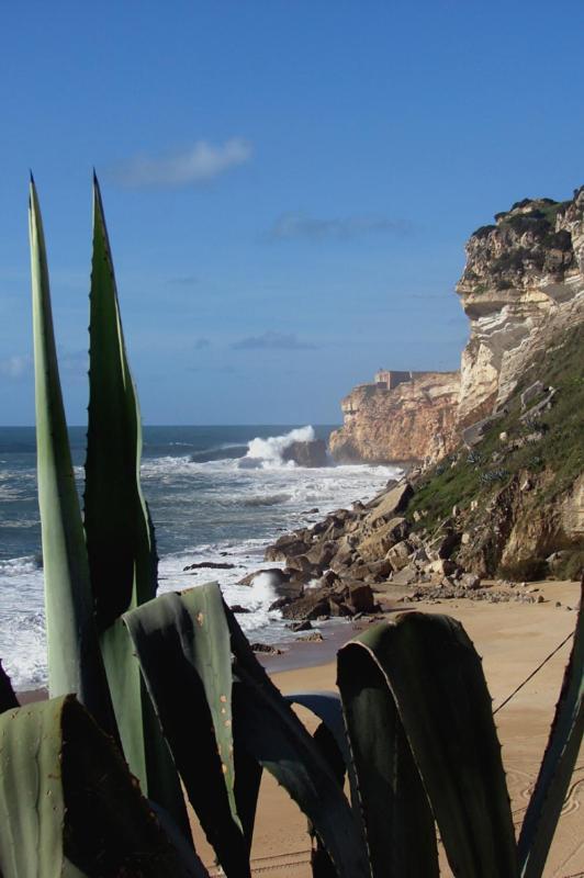 Bed and Breakfast Quinta Camargue Cela Velha Exterior foto